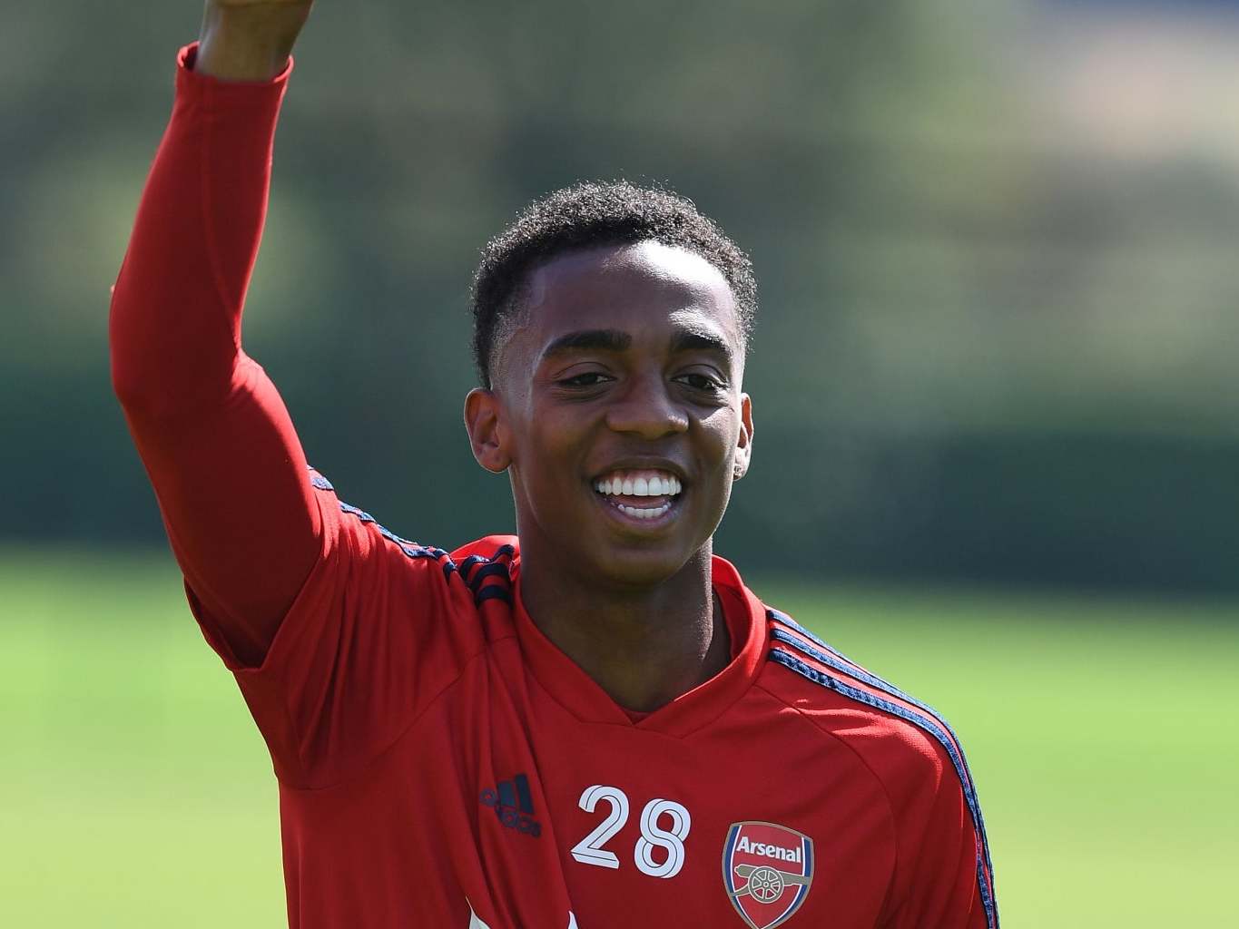 Joe Willock has made an impressive breakthrough this season