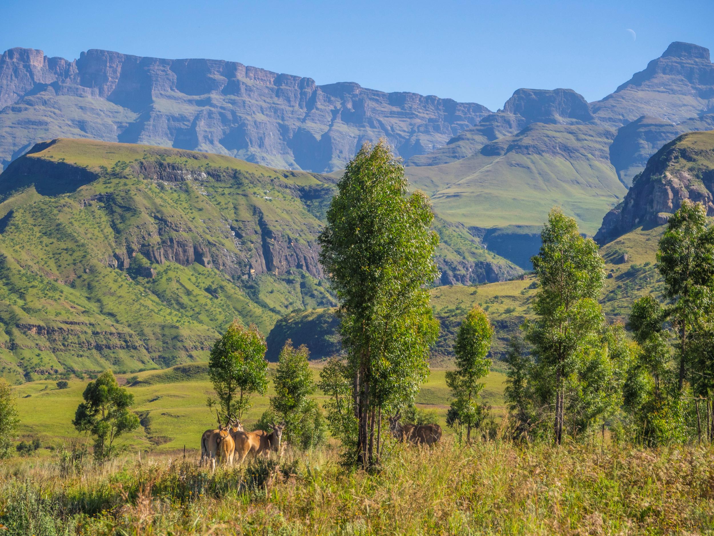 Drakensberg