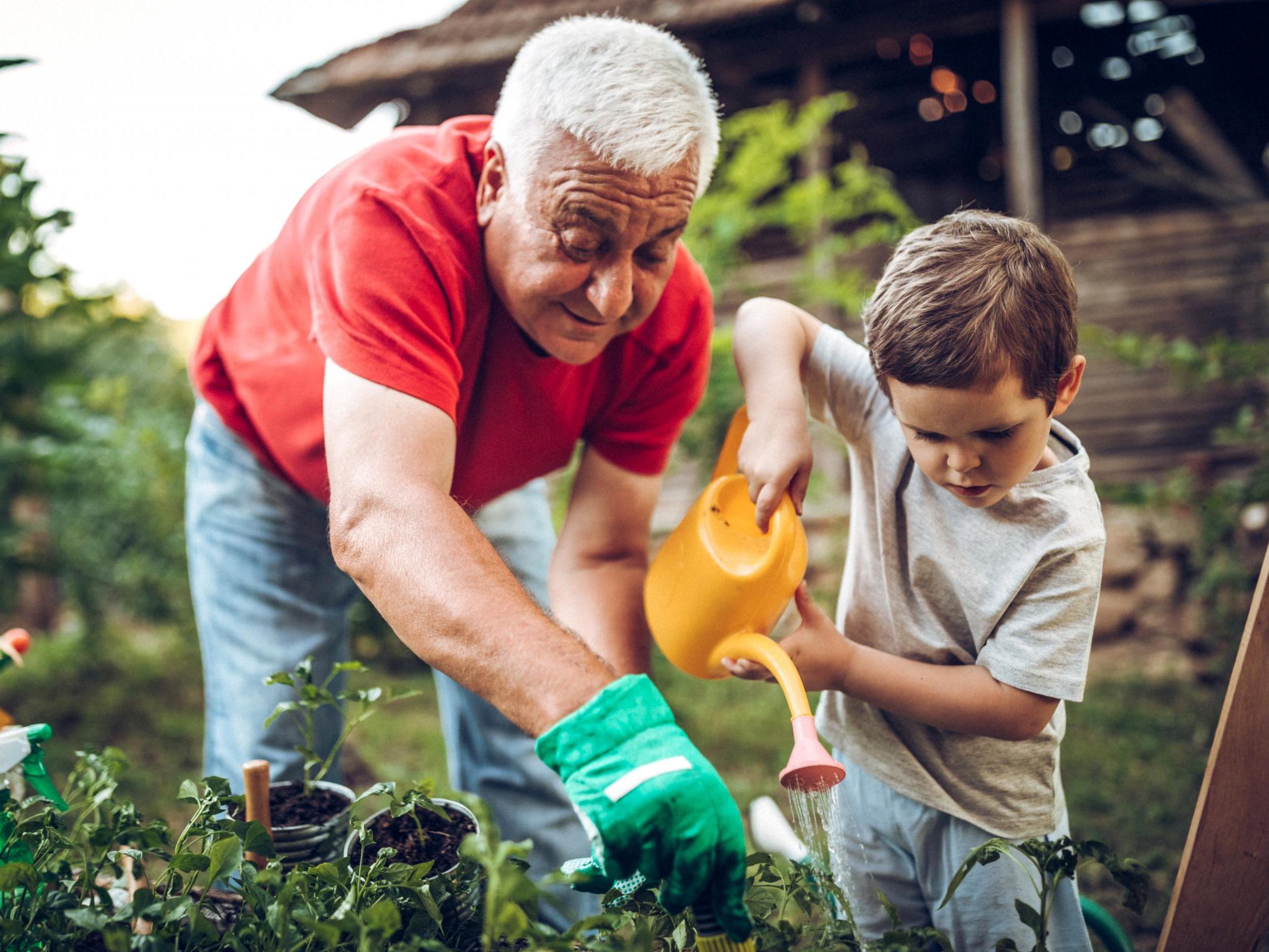 'Ecotherapy uses nature consciously to support wellbeing and recovery,' says expert