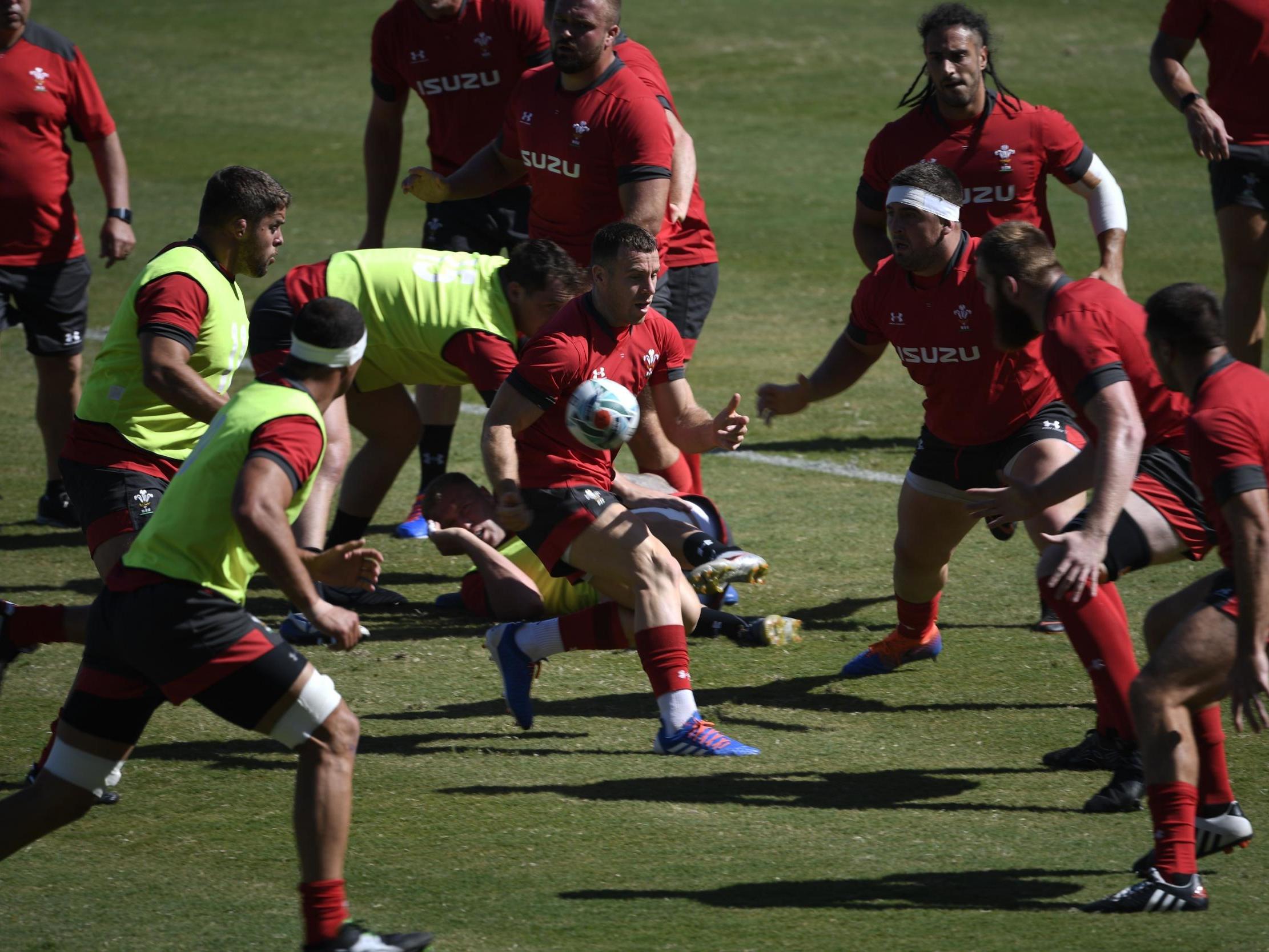 Wales will be hoping for more of the same from Gareth Davies