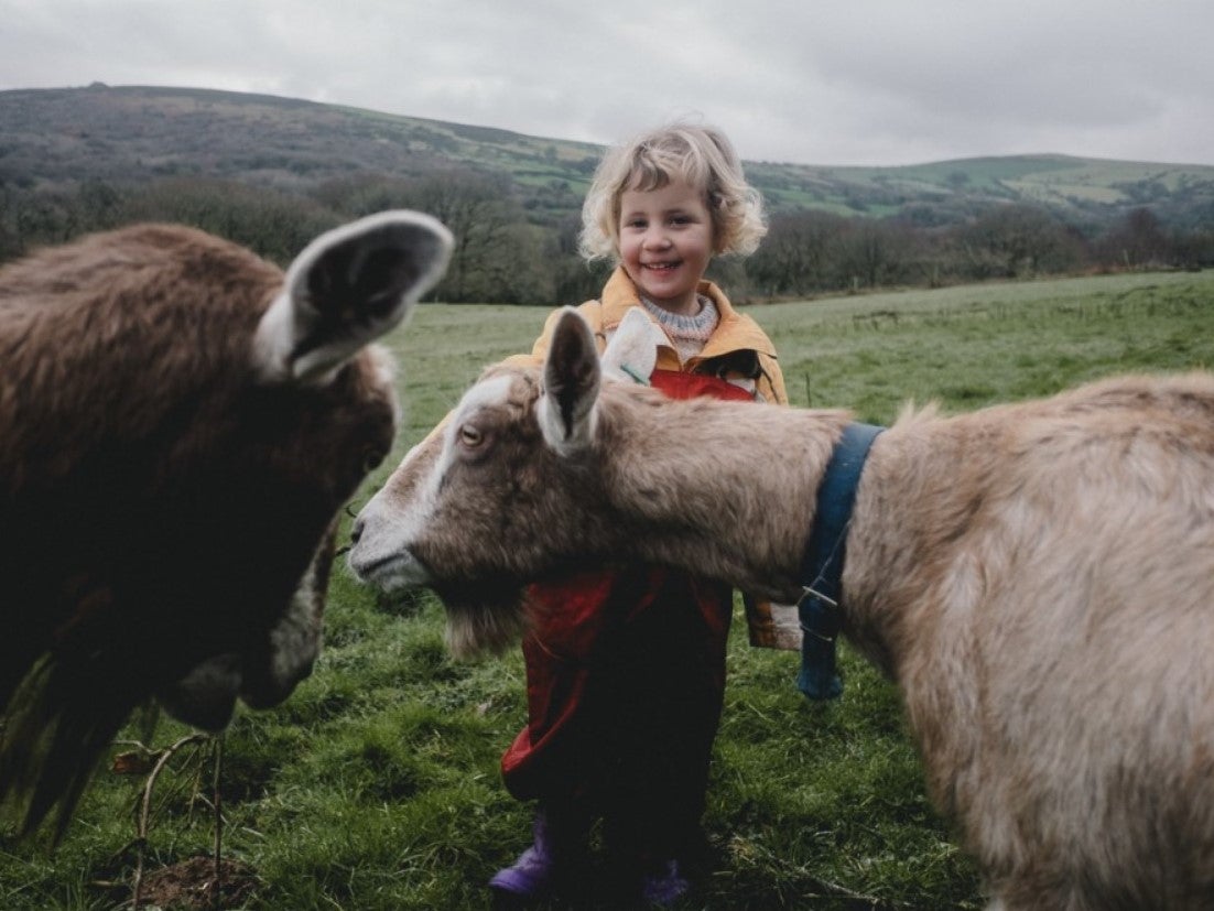 Goats are raised on the site for their milk