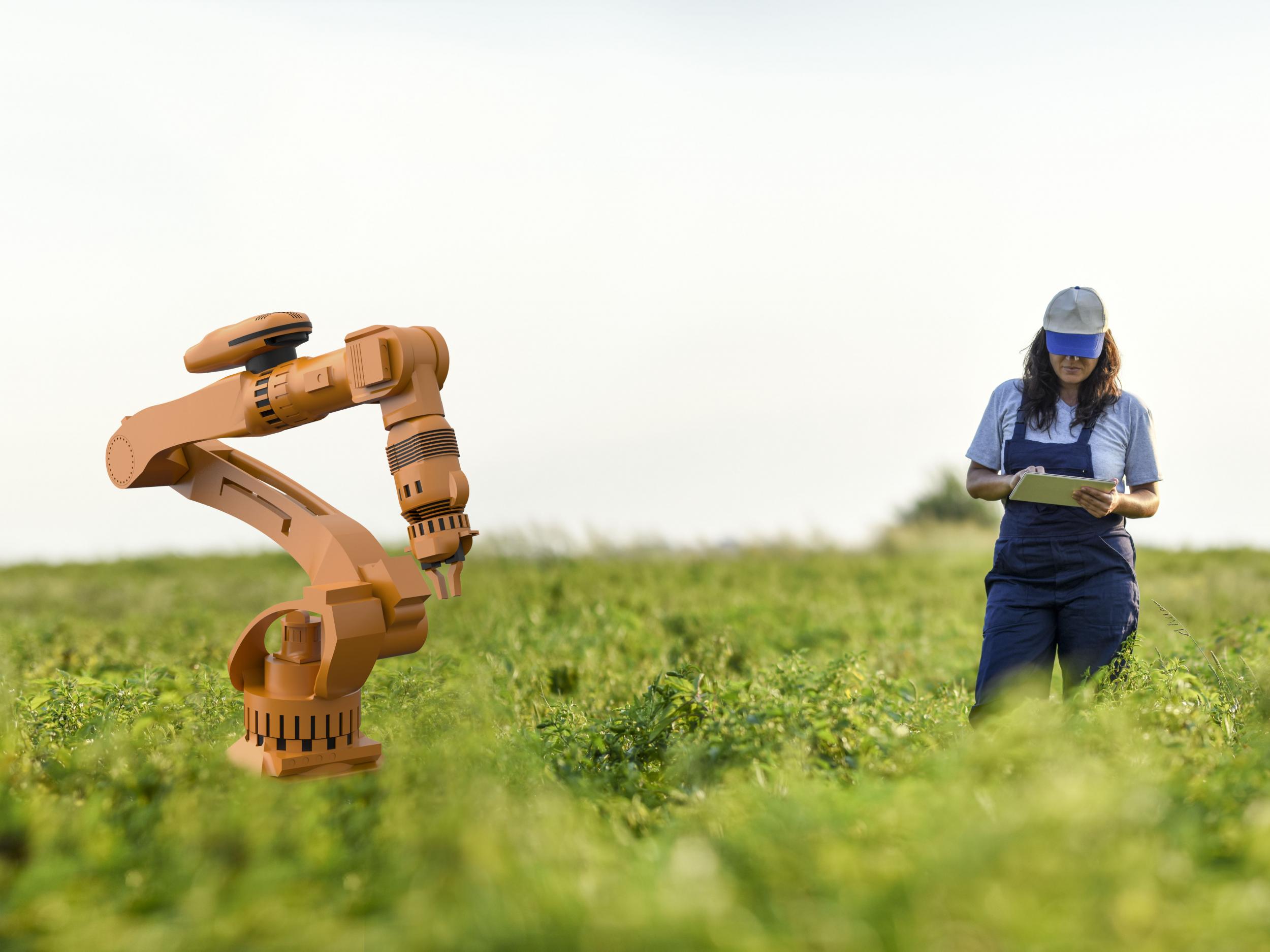 Robots have taken over many agricultural jobs that used to be done by humans