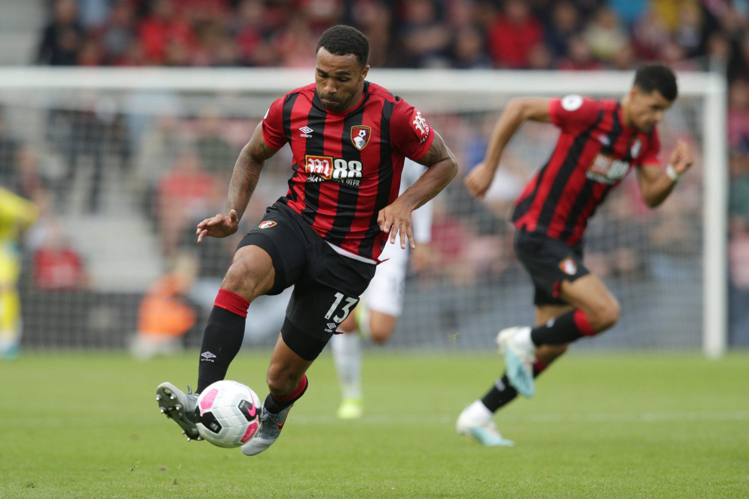 Man United have been linked with Callum Wilson