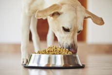 The truth about grains in pet food