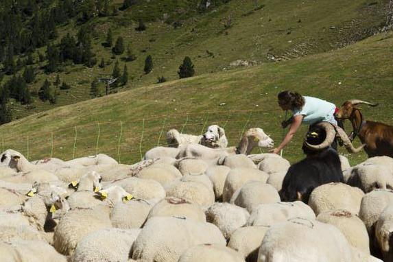 Victòria Vilalta, Casa Serraire: the animals have been grazing communal lands for generations and have helped to conserve the cultural landscape