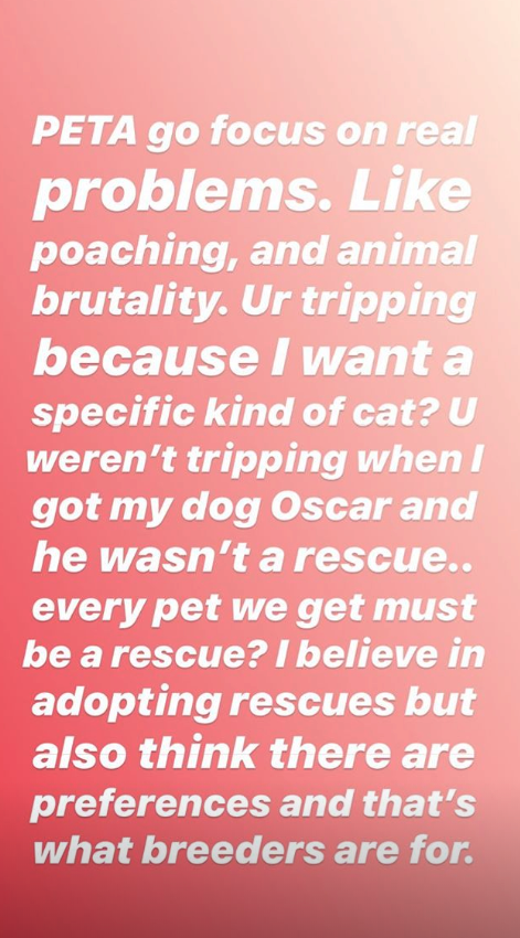 Bieber attacked Peta on Instagram (Instagram)