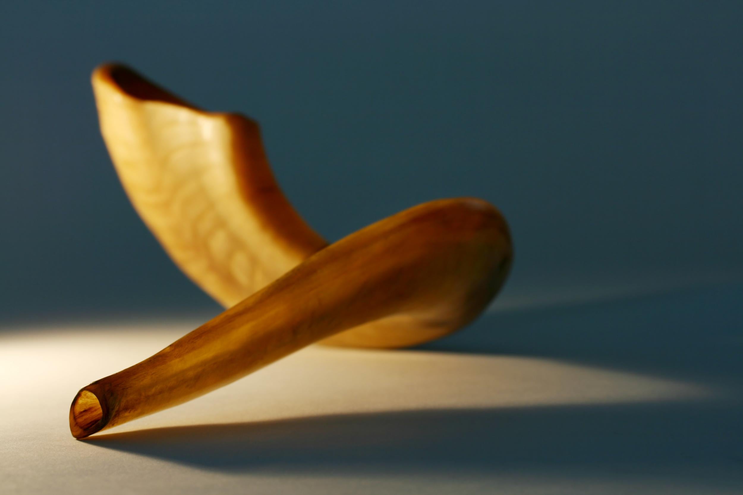 The shofar, an ancient musical instrument, is blown in synagogue?on Yom Kippur