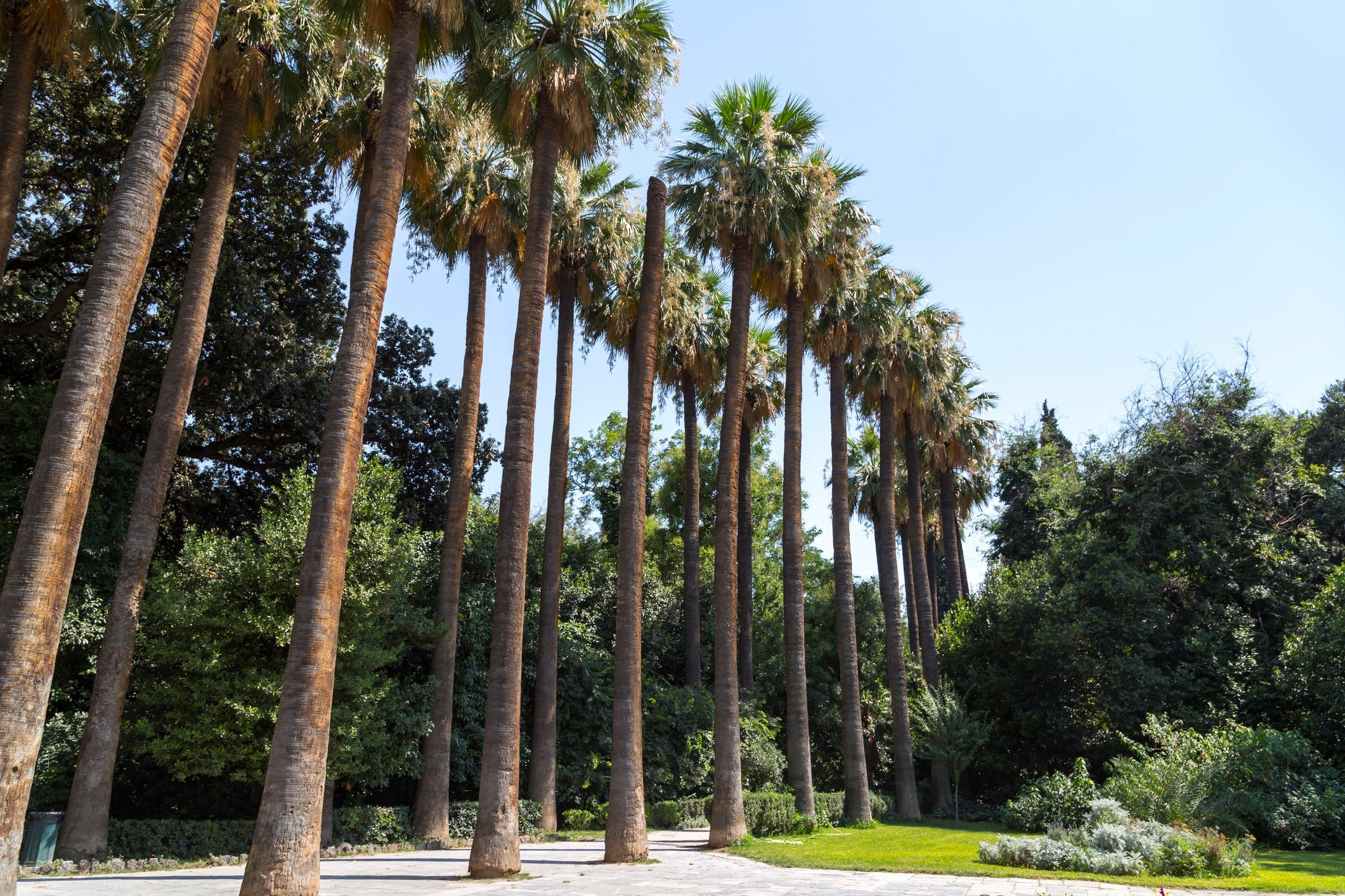 The National Garden (Getty/iStock)