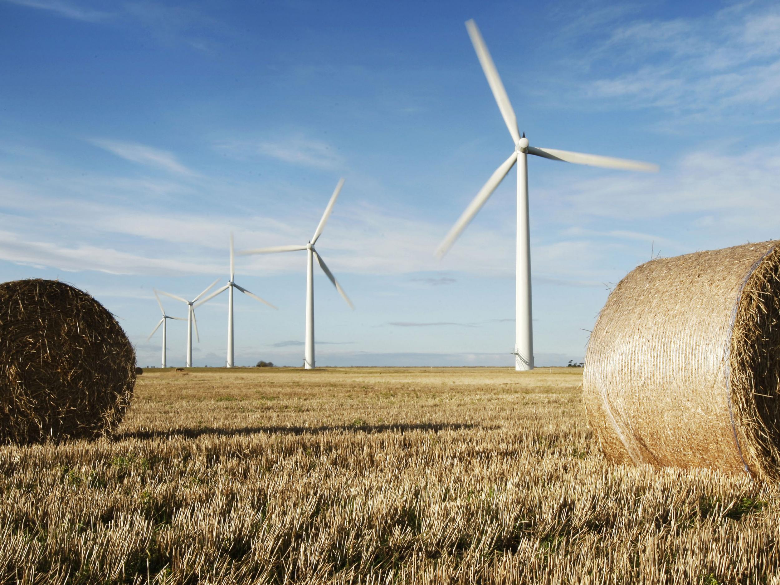 Each turbine will measure 150m high (File photo)