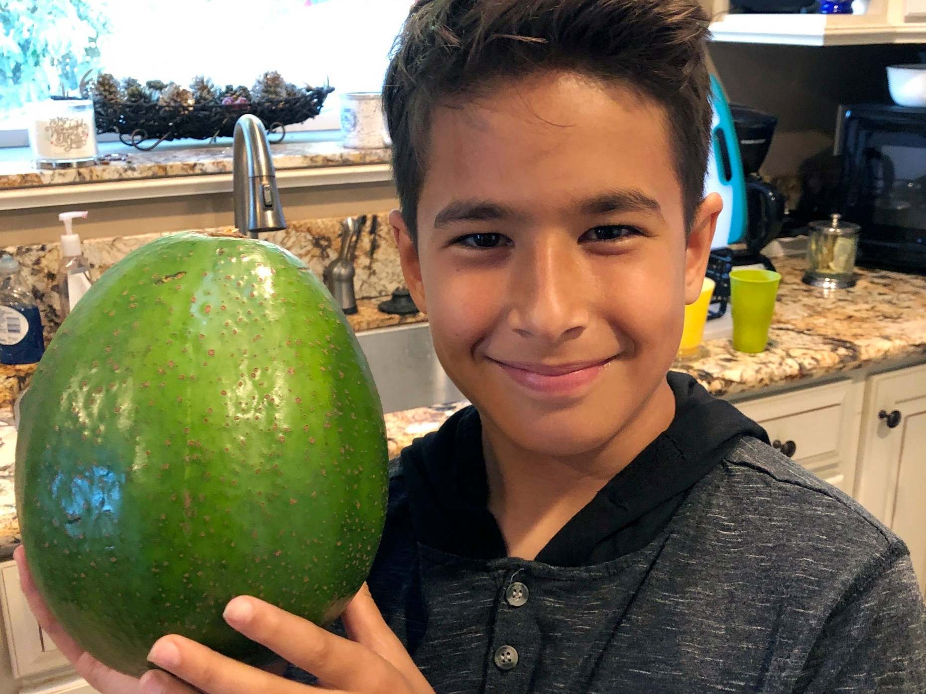 Lo'ihi Pokini poses with the avocado in Kula, Hawaii