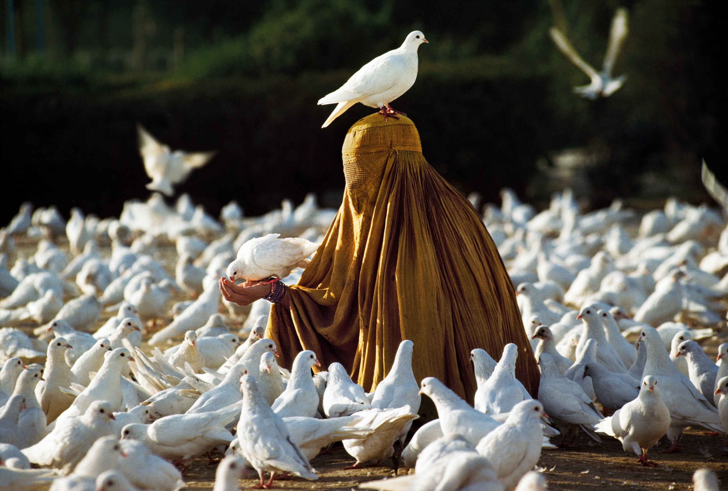 This woman was feeding doves in front of the Blue Mosque in Mazar-i-Sharif. Legend says the mosque is so sacred that any dove with a speck of color on its feathers will instantly become pure white after entering the mosques vicinity.