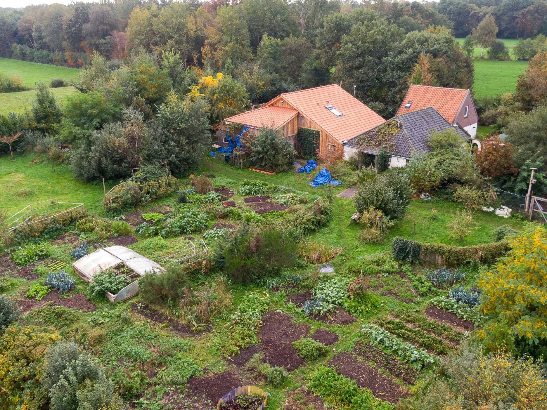 Father and six children lived in basement for nine years 
