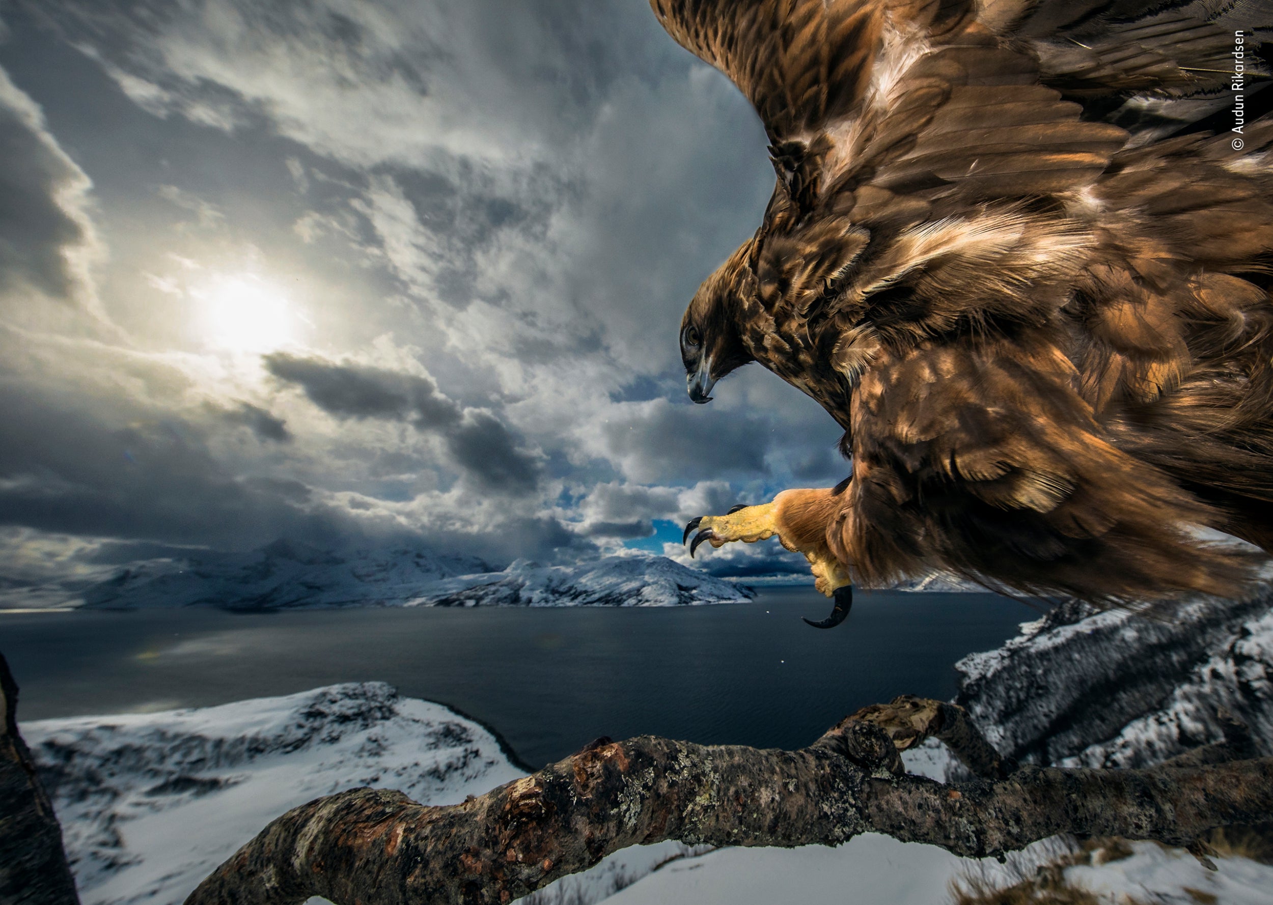 Land of the eagle by Audun Rikardsen, Norway