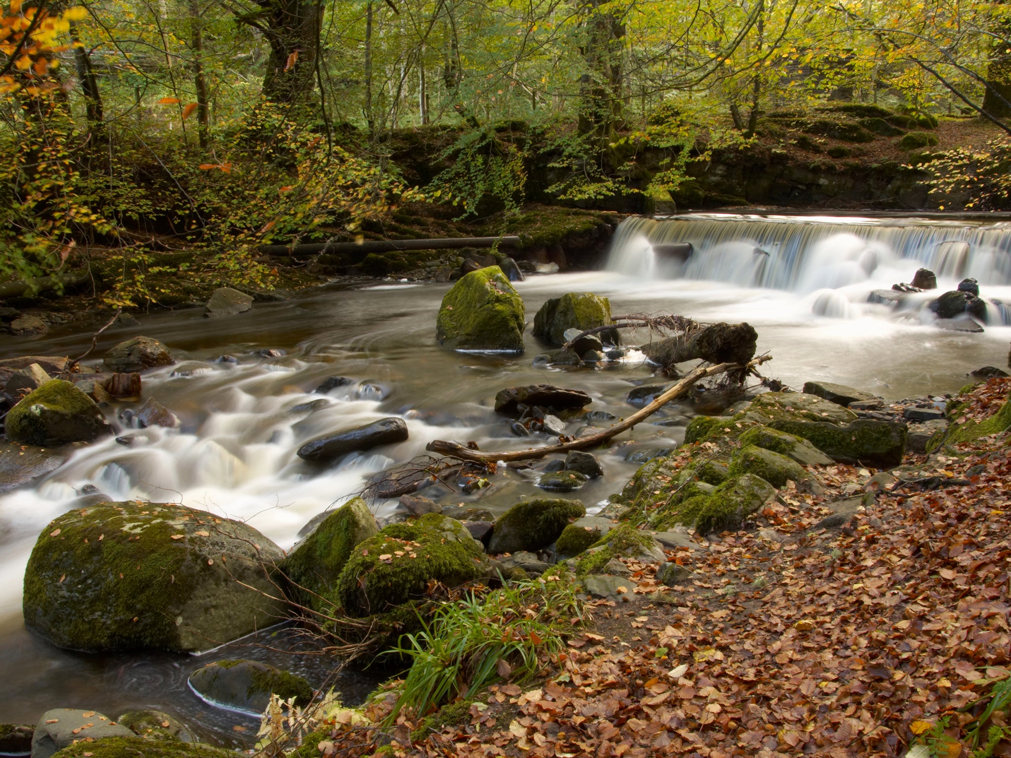 Water flows over the gorges of The Birks o'Aberfeldy, Perthshire