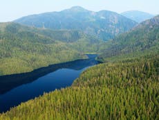 Trump rips protections from one of the largest temperate rainforests