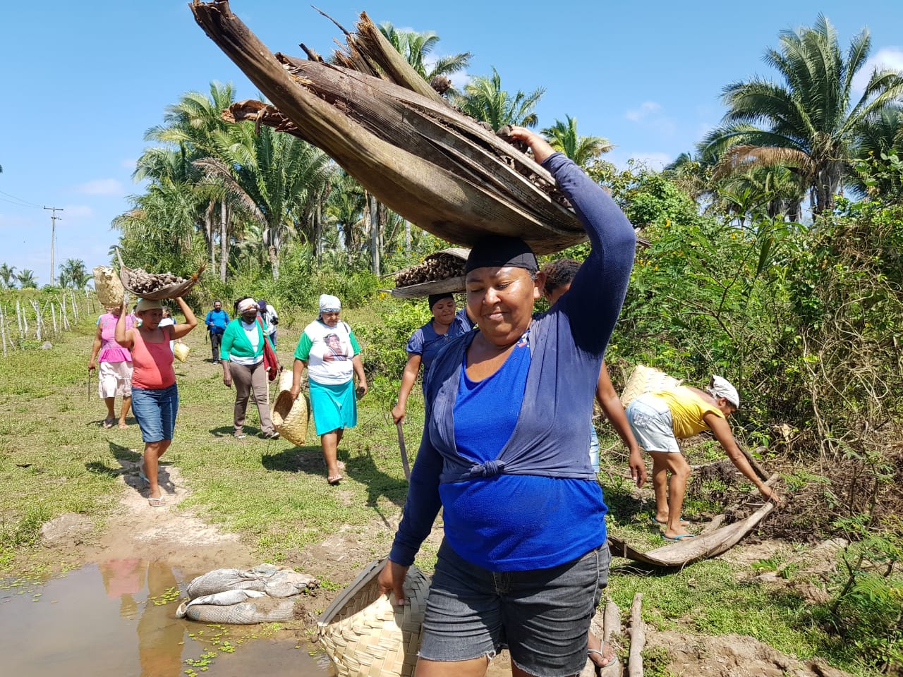 The women, who are also striving to protect the Amazon rainforests and Cerrado savannah, carry baskets of babassu