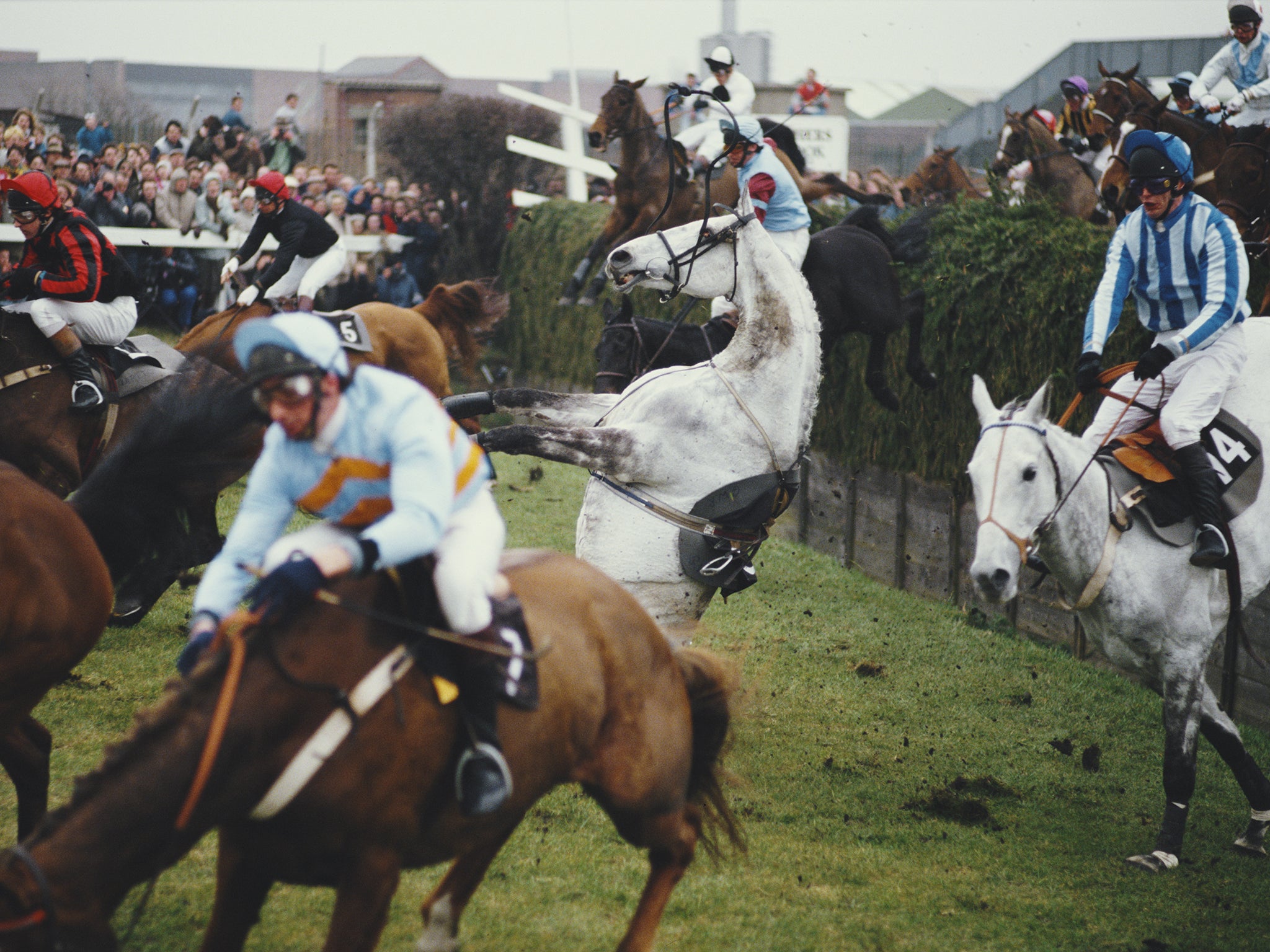 The 1987 death of Dark Ivy (centre) at Becher’s Brook resulted in a public outcry (Getty)