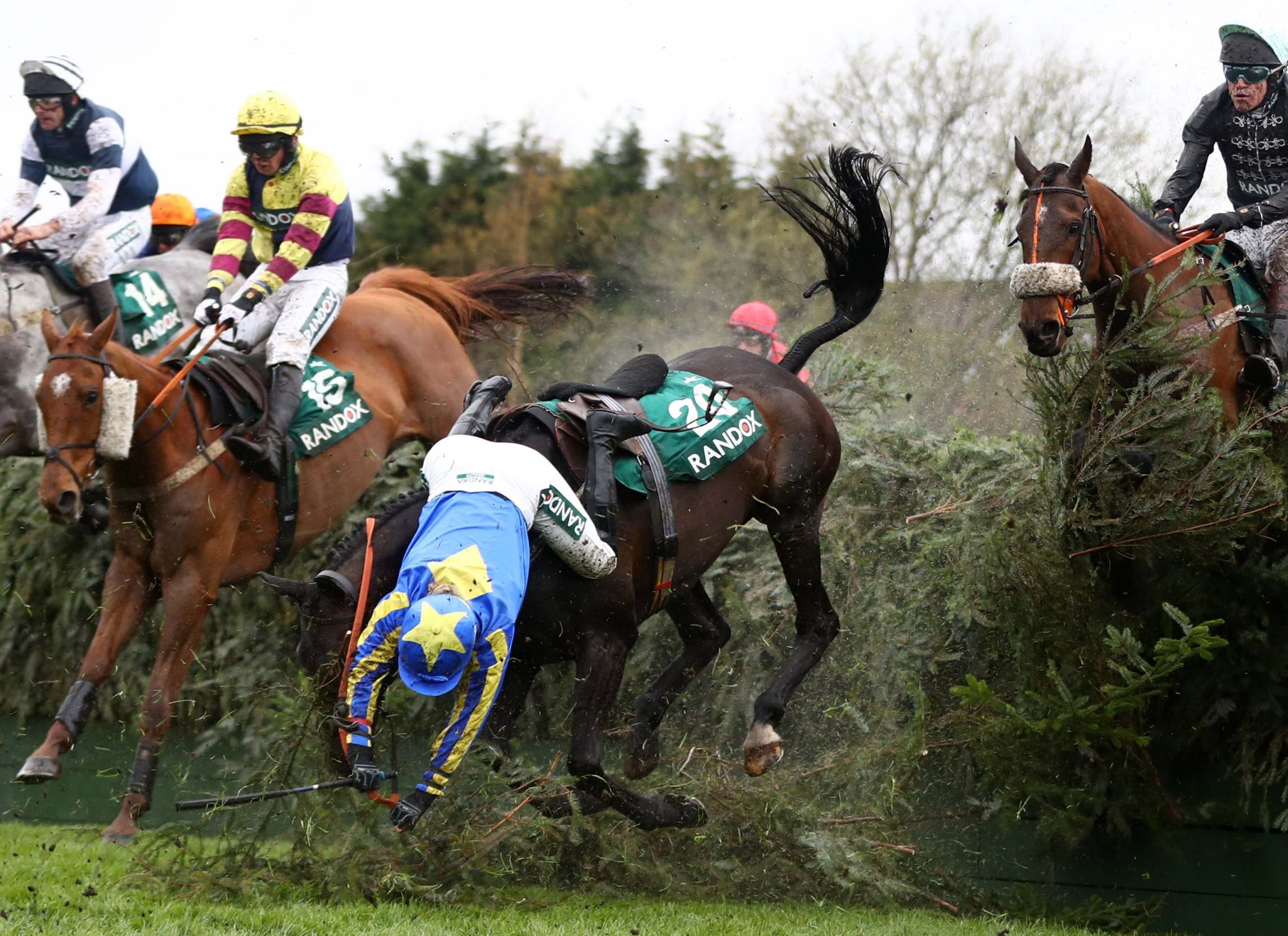 Jump racing kills: Should horses risk their lives for our entertainment?