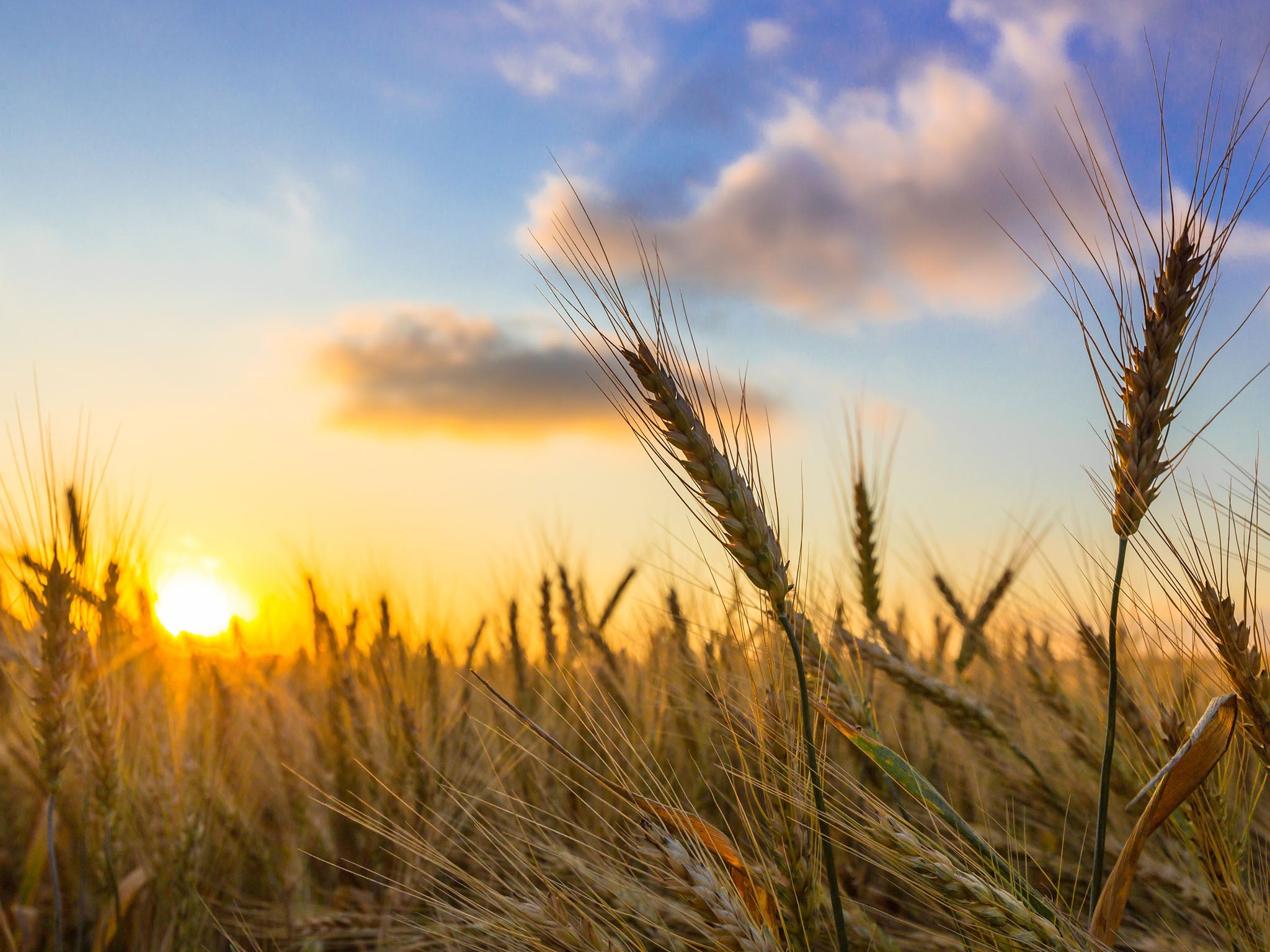 It's a myth that the UK adopts daylight saving times to help out farmers