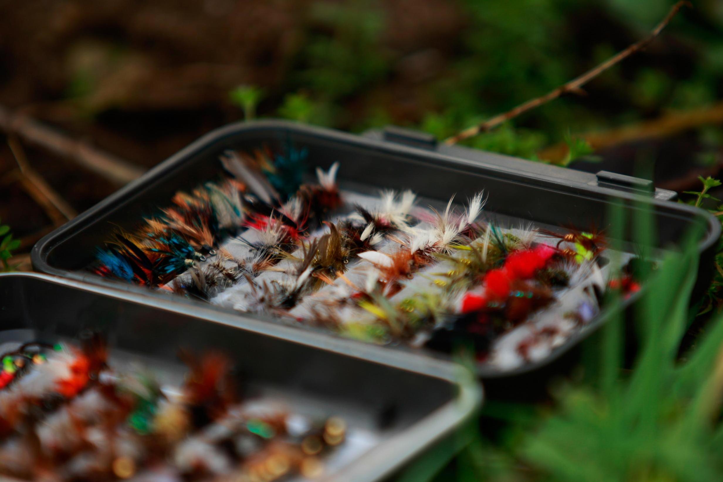 A colourful set of treasured flies