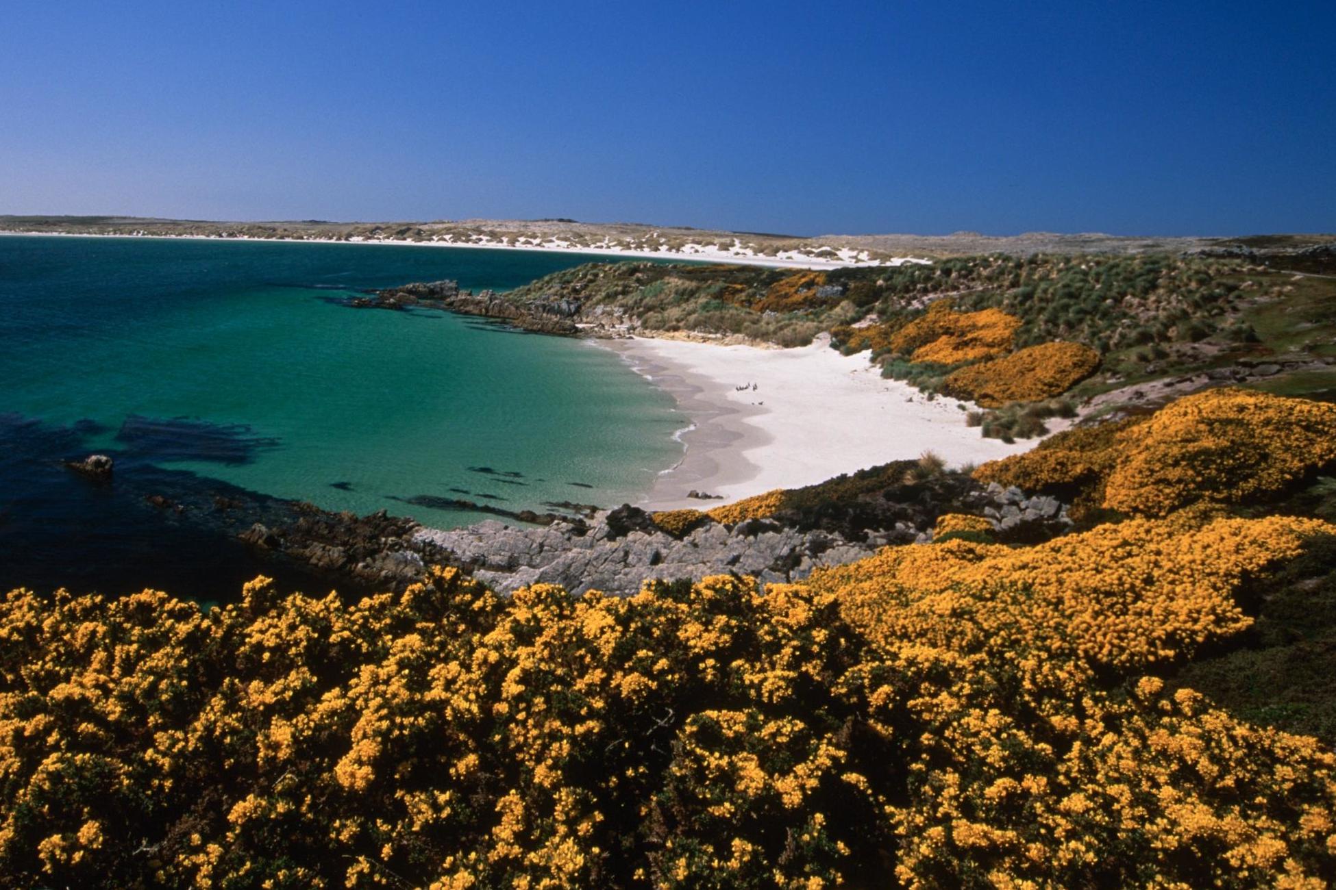 Southern sky: The Falkland Islands are as far south as Essex is north