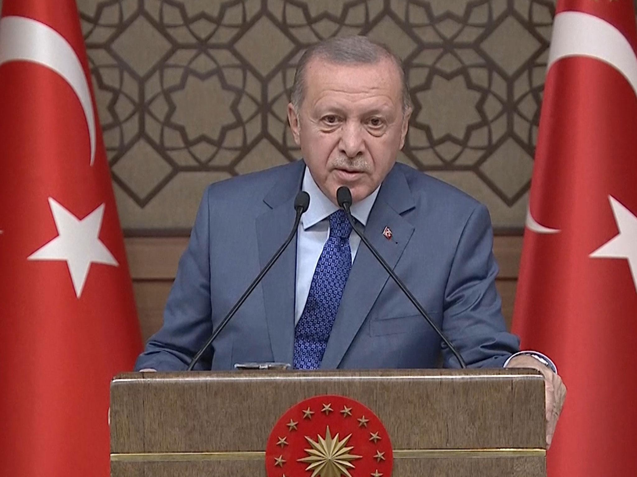 Erdogan warned he would ‘open the gates’ for asylum seekers if Ankara’s plans were vetoed