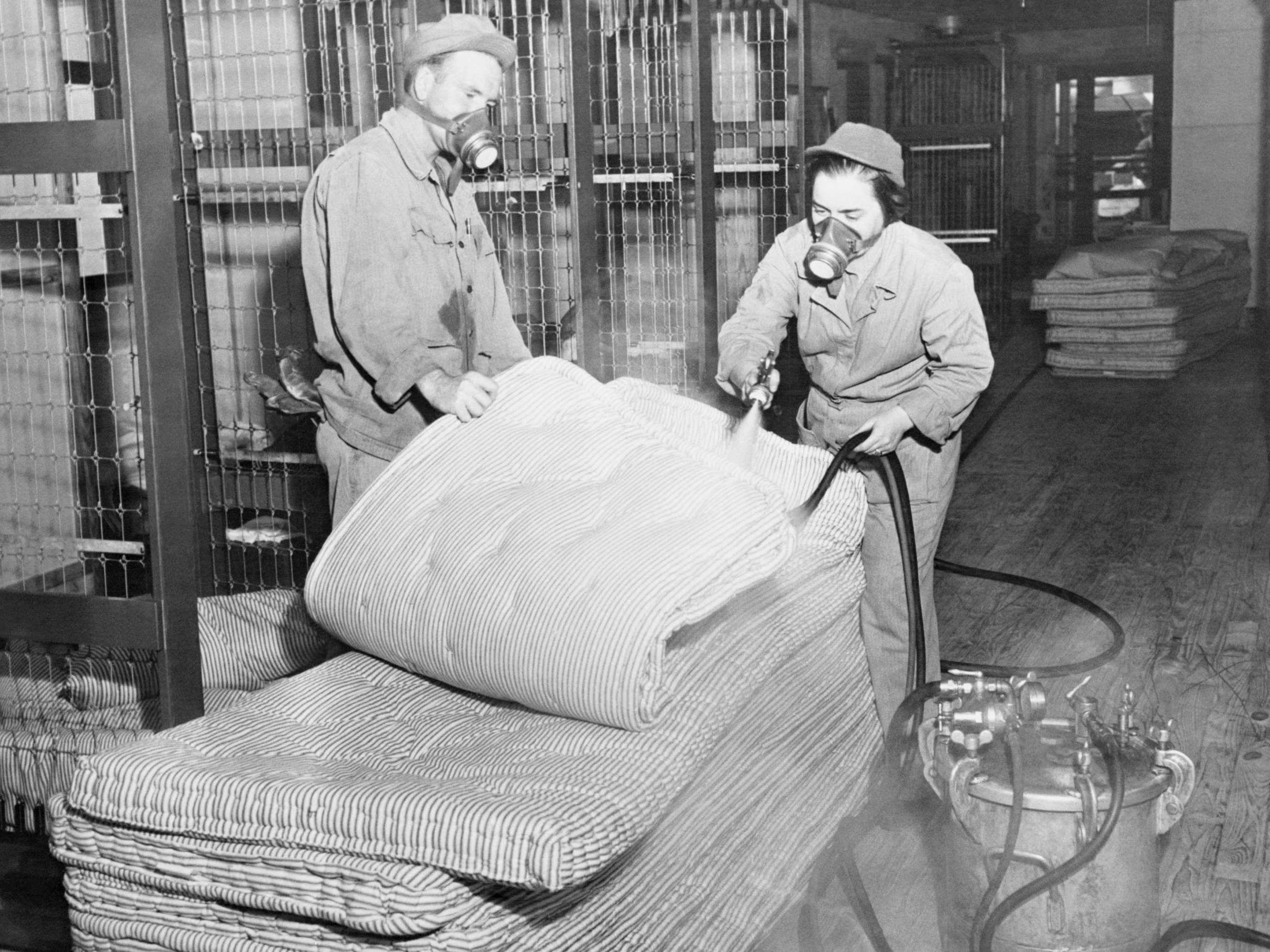 DDT was used for all sorts in Second World War times, including killing bed bugs