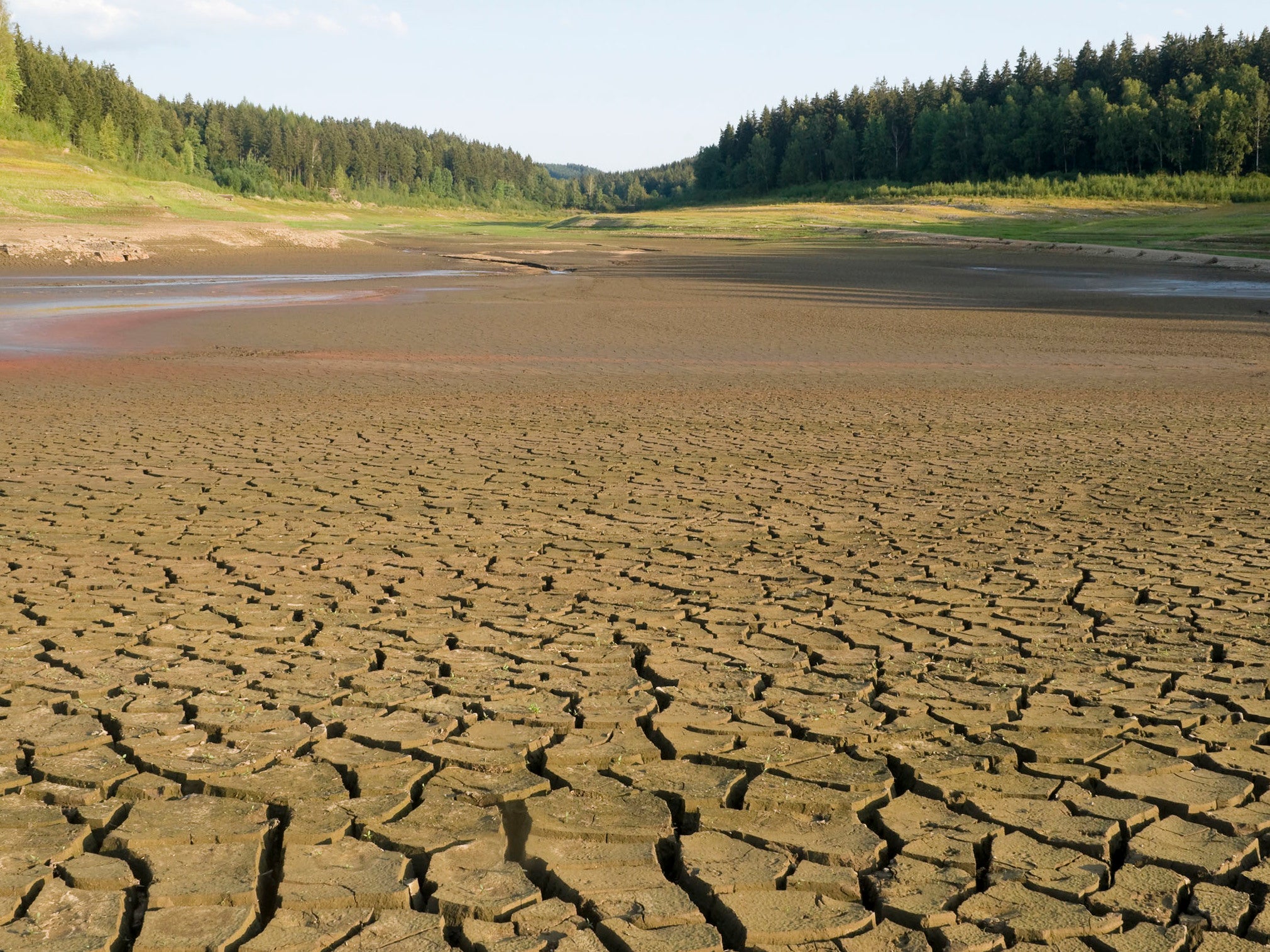 The German grain production in 2019 has been mediocre and is causing massive pressure on the industry