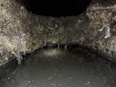 Fatberg as big as double-decker bus removed ‘by hand’ from sewer