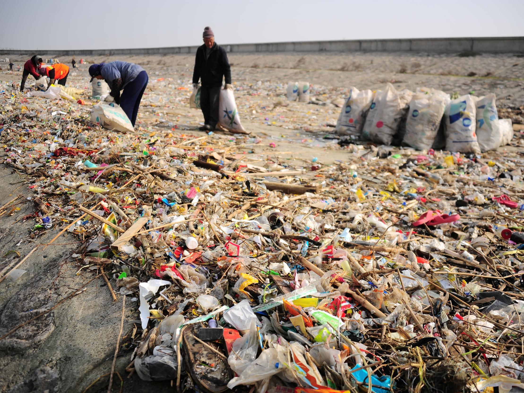 Single-use plastics have been classified as one of the world’s biggest environmental challenges by the United Nations