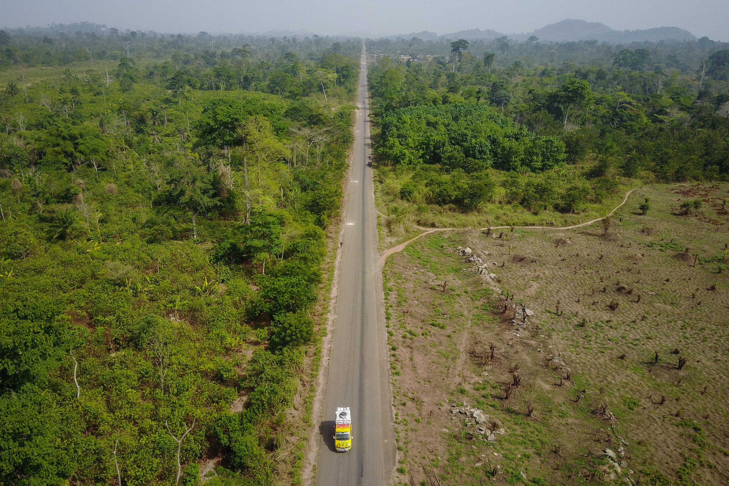 Cocoa farmers have chopped down vast swaths of old forests to make way for more cocoa plants near the city of Bangolo, Ivory Coast