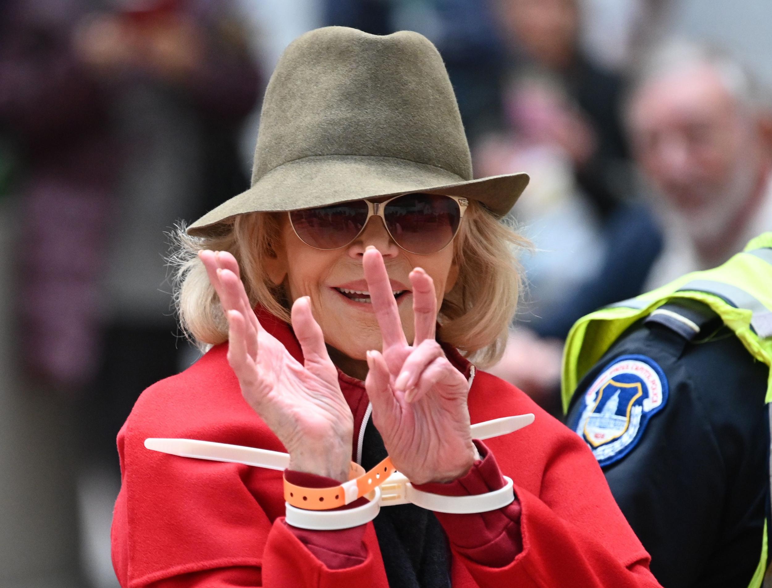 Jane Fonda is arrested by Capitol Police during a climate protest inside the Hart Senate office building on 1 November, 2019 in Washington, DC.