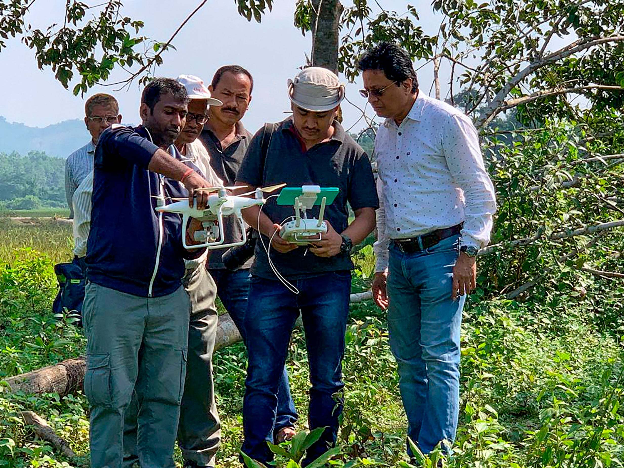 Wildlife officials launched drones to observe Laden from a safe distance