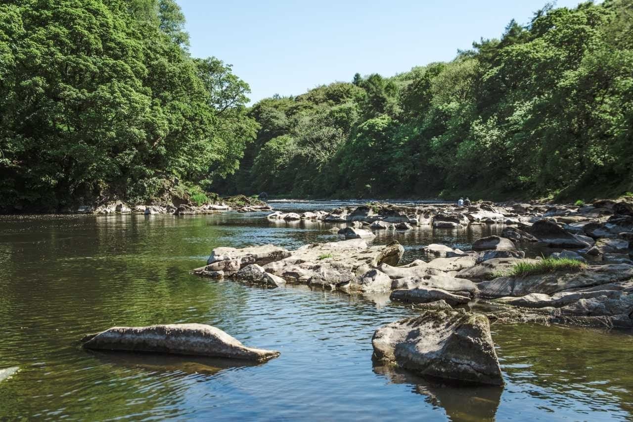 River Ribble