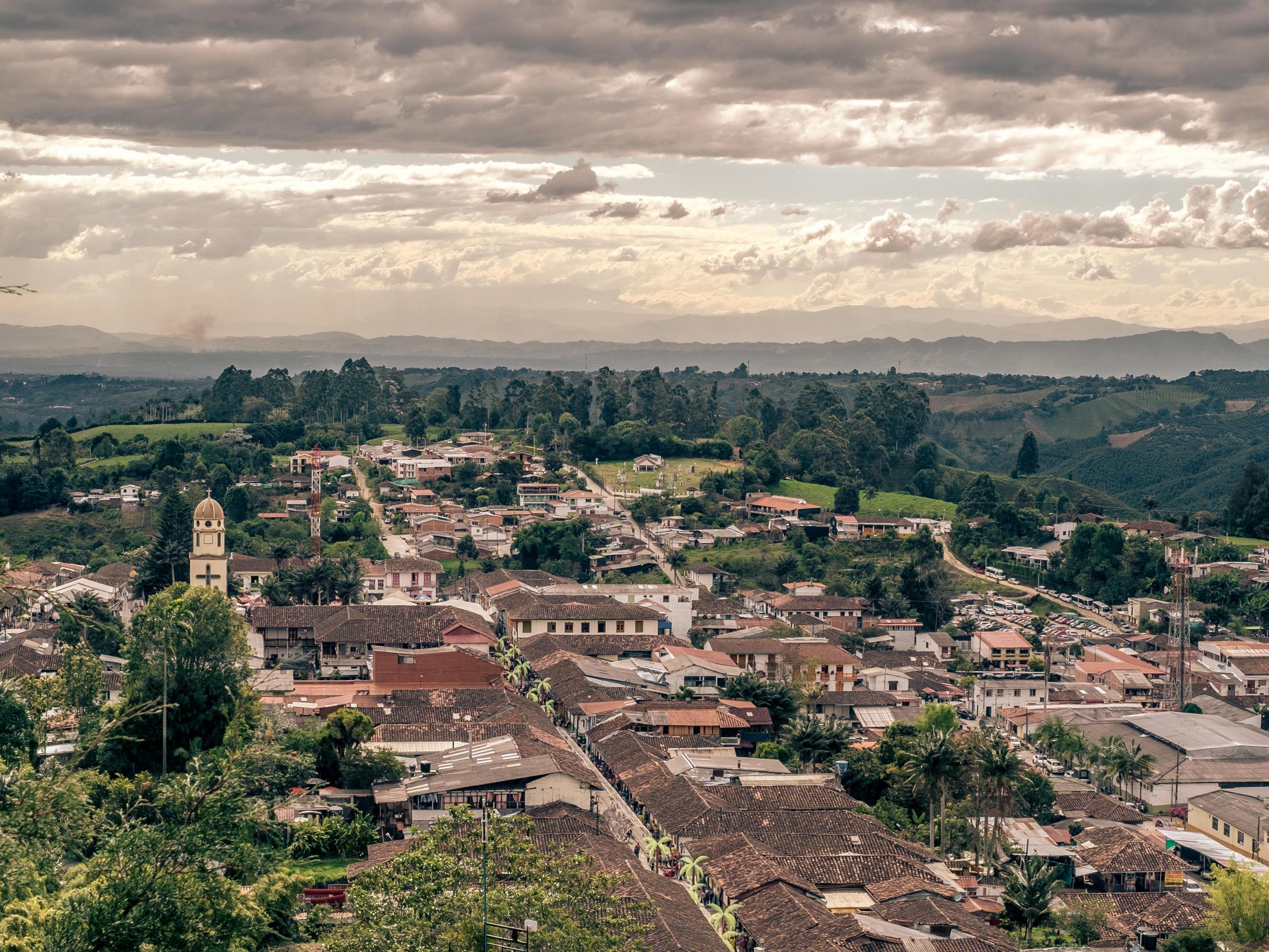 Houses, people and tourists all stand to threaten the survival of the tress