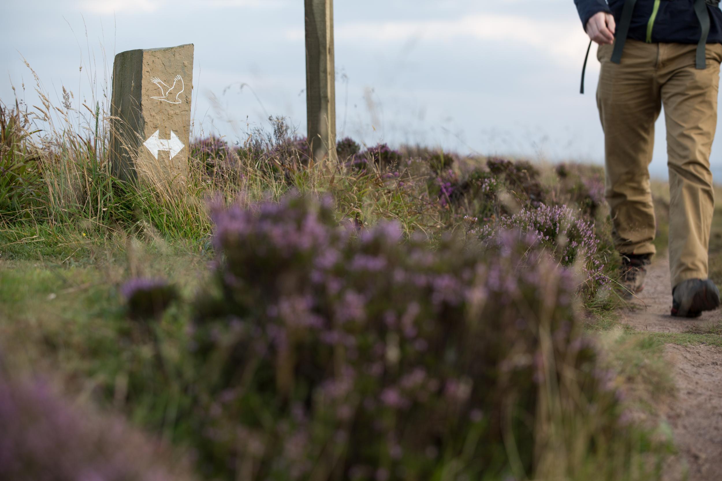 St Magnus Way takes in Orkney’s loveliest countryside