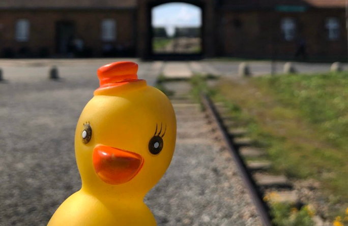 Instagram account posts pictures of this duck all over the world