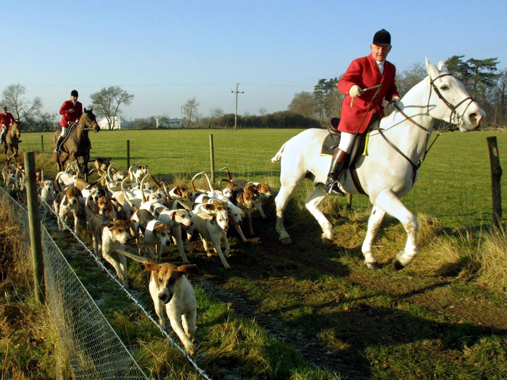 A huntsman on a fox hunt in Higham, Suffolk, in 2001 (AFP/Getty)