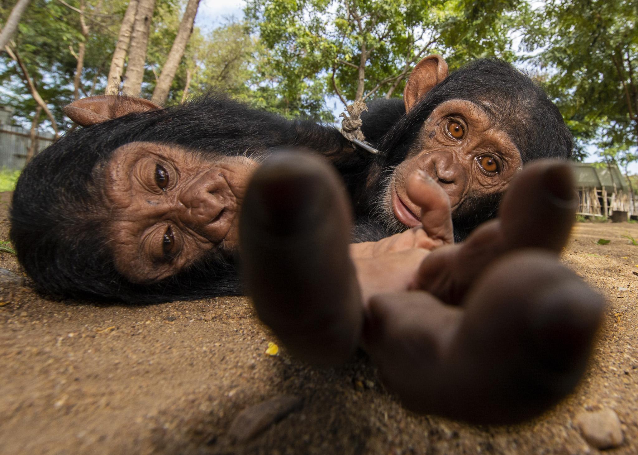 Finalist in the Man and Nature category