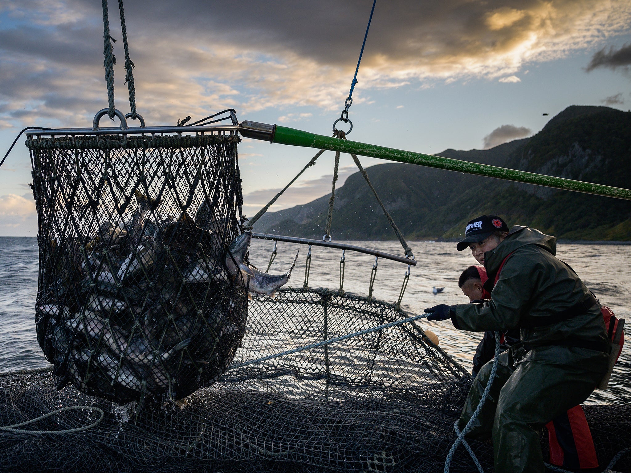 Fishermen load salmon from the Sea of Okhotsk in Hokkaido