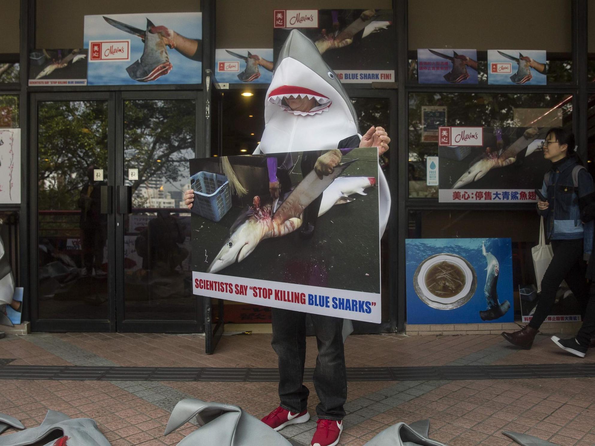 An activist protests outside a restaurant in Hong Kong, opponents say finning is cruel and threatens the species' future