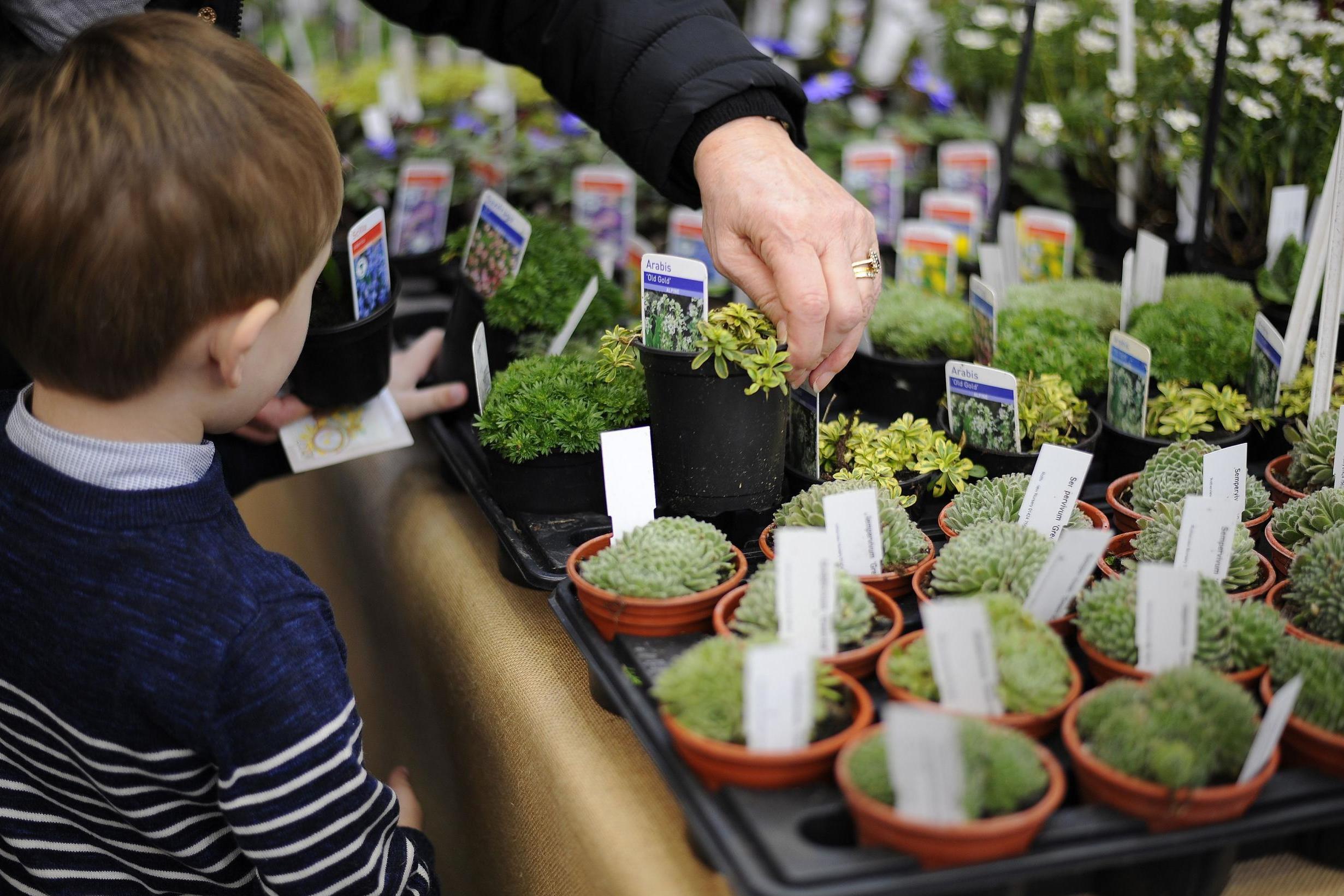 The plant lovers are getting younger and younger (PA)