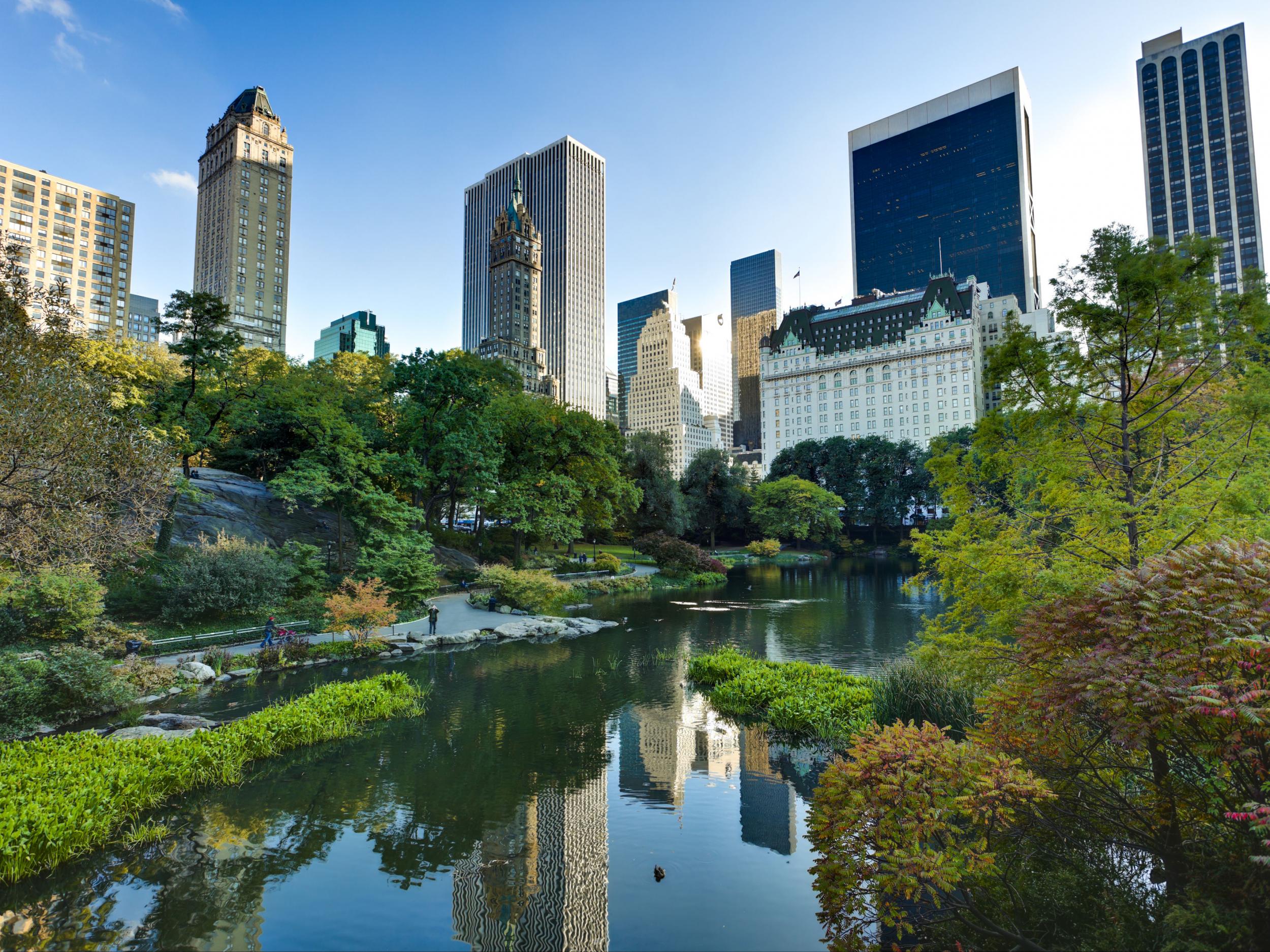 Central Park offers a green getaway from the city's skyscrapers