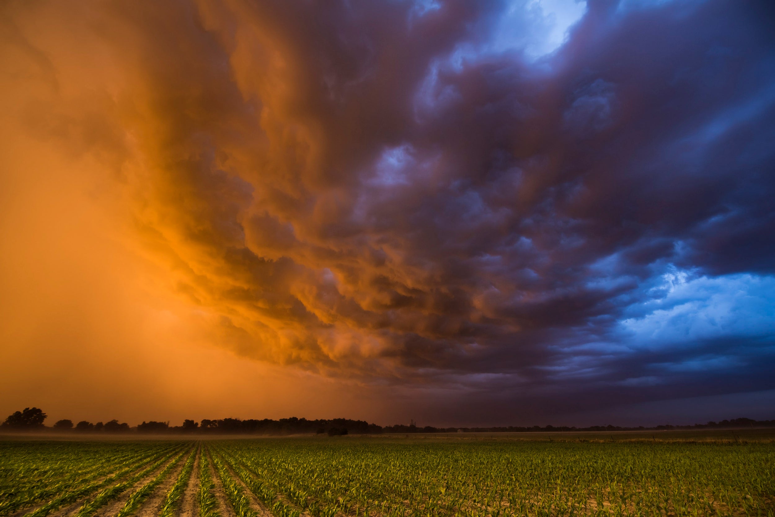 Updraft base of a severe storn at sunset