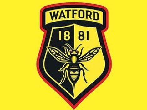 Watford opted against the alternative badge