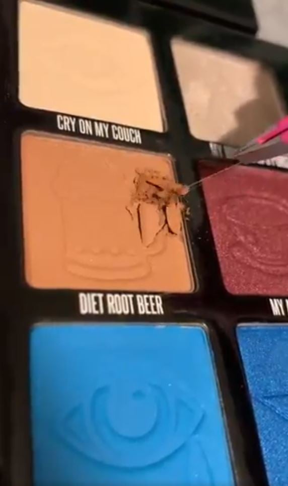 A Twitter user shares a video of themselves using tweezers to pull a fibre from an eyeshadow in the palette