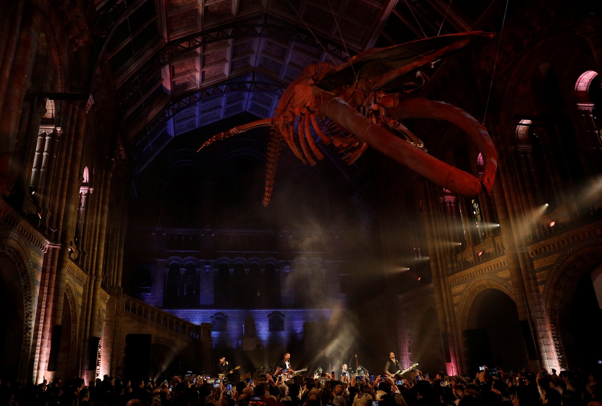 Coldplay perform beneath the skeleton of a blue whale (Reuters)