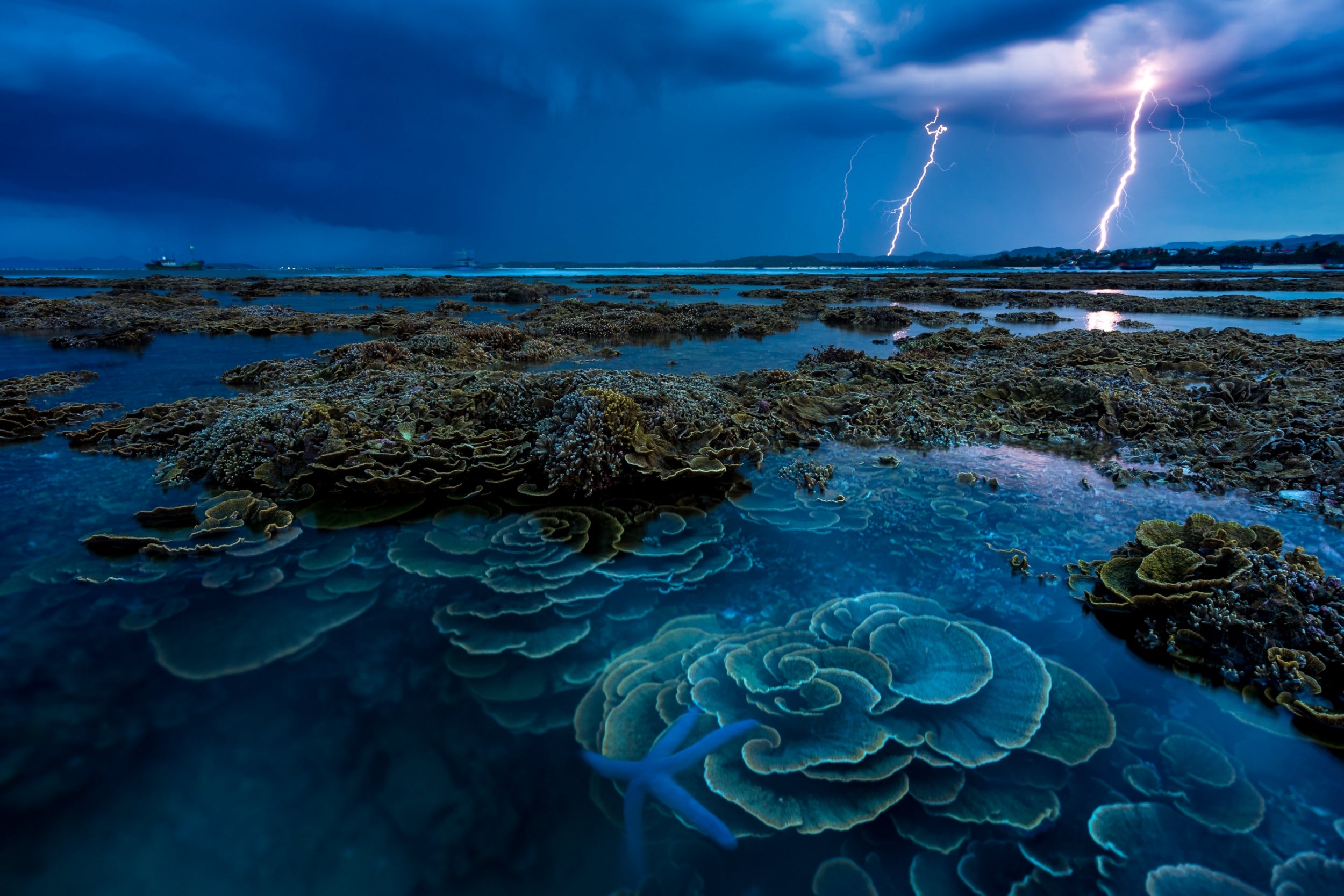 Scientists have projected that a 2C global temperature rise will result in the almost complete eradication of coral reefs globally