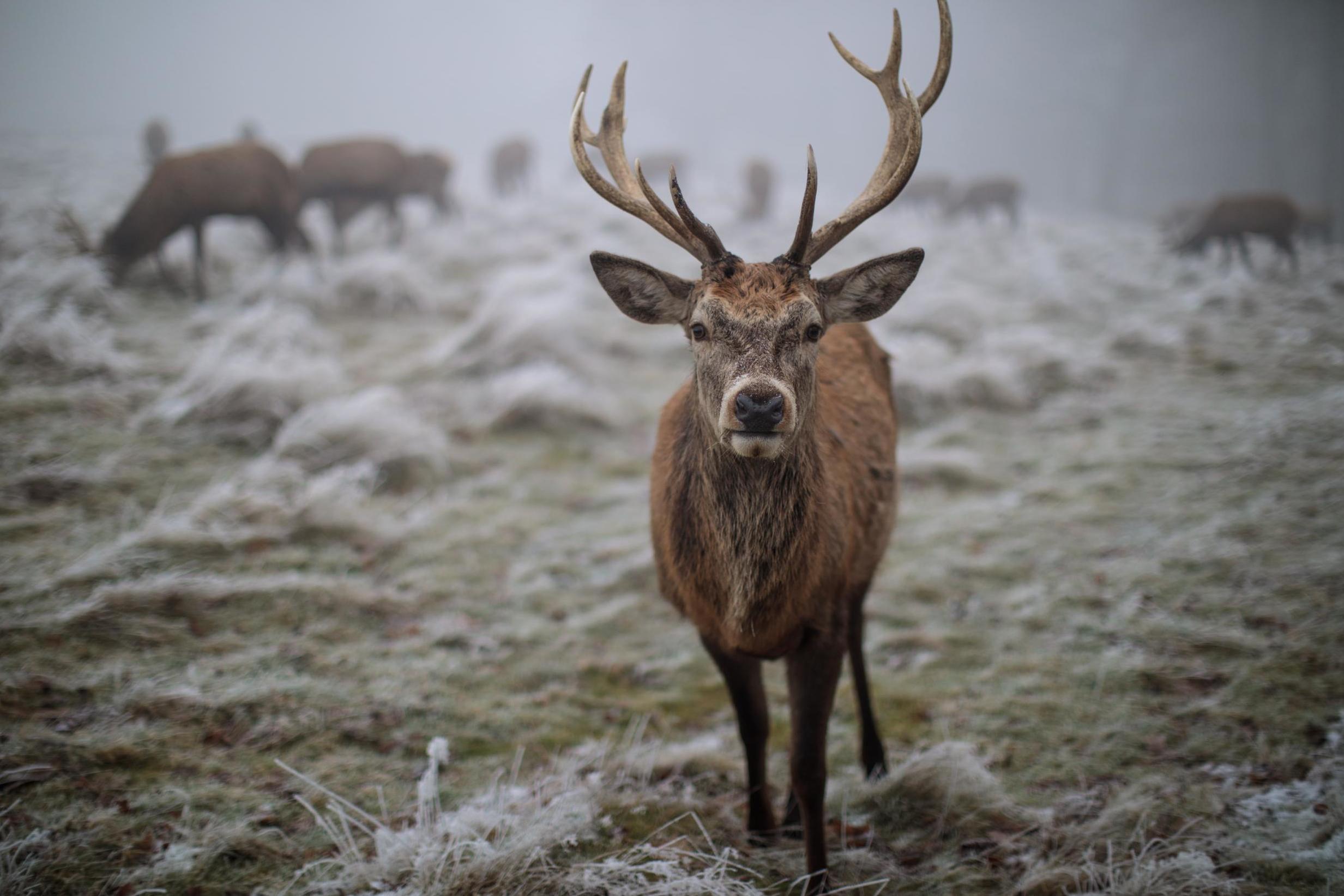 Places in Scotland can expect temperatures to plummet to -10C