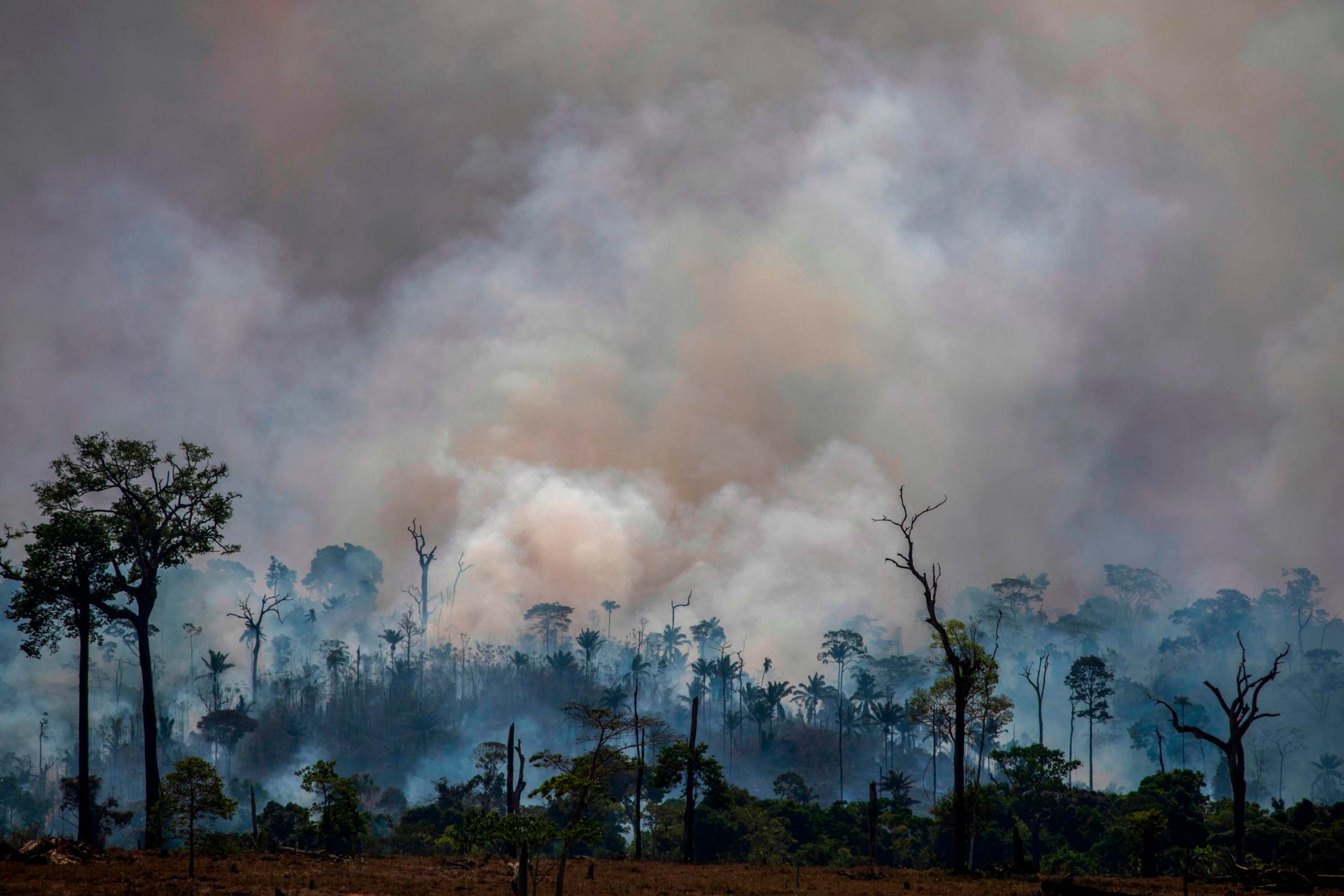 Amazon rainforest fires ‘melting glaciers hundreds of miles away’